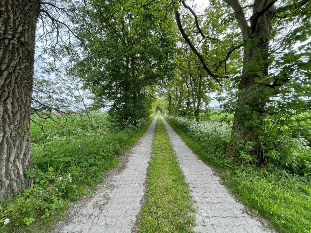Mooi Stuv , Maisonettenwohnung , Gulfhof , Kachelofen Norden Esterno foto